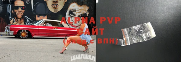 индика Абинск