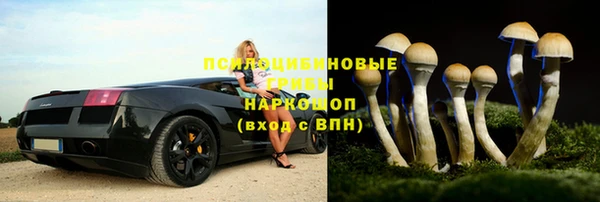 индика Абинск