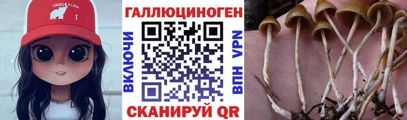 mega сайт  Алдан  Псилоцибиновые грибы Magic Shrooms  сколько стоит 